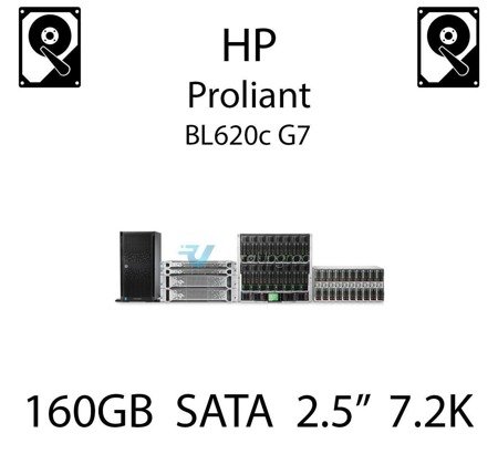 160GB 2.5" dedykowany dysk serwerowy SATA do serwera HP ProLiant BL620c G7, HDD Enterprise 7.2k, 3GB/s - 530888-B21   (REF)