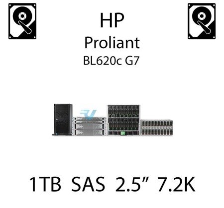 1TB 2.5" dedykowany dysk serwerowy SAS do serwera HP ProLiant BL620c G7, HDD Enterprise 7.2k - 605835-B21 (REF)