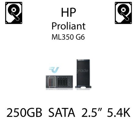 250GB 2.5" dedykowany dysk serwerowy SATA do serwera HP ProLiant ML350 G6, HDD Enterprise 5.4k, 3GB/s - 460426-001   (REF)