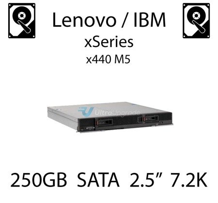 250GB 2.5" dedykowany dysk serwerowy SATA do serwera Lenovo / IBM xSeries x440 M5, HDD Enterprise 7.2k, 600MB/s - 81Y9722 (REF)