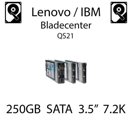 250GB 3.5" dedykowany dysk serwerowy SATA do serwera Lenovo / IBM Bladecenter QS21, HDD Enterprise 7.2k, 300MB/s - 43W7750